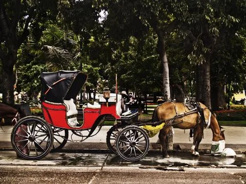 Carriage Stock Photos
