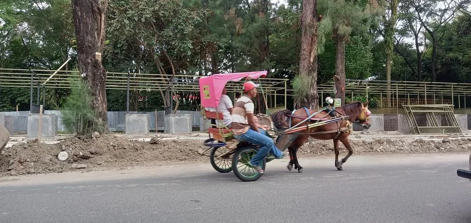 The Carriage Foto stock