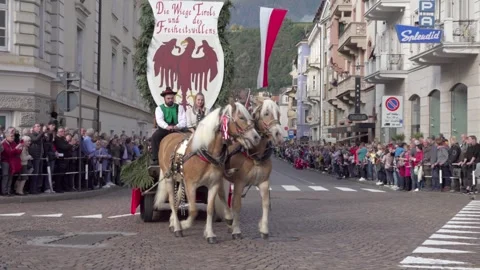 Carriage pulled by a horse during the grape festival parade Stock-Footage 292762875
