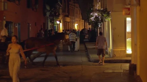 Carriage pulled by a horse passing by the streets of Cartagena Video stock 75166845