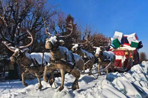 Carriage with reindeer Stock Photos