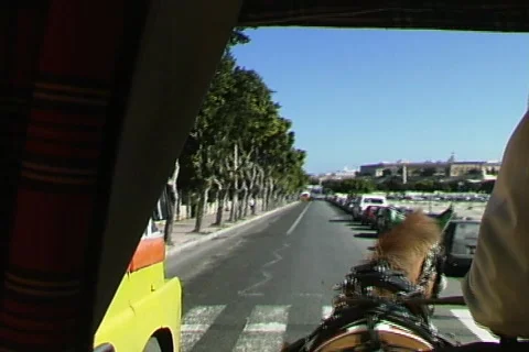 Carriage Ride Video stock 816826