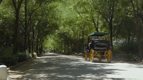 Carriage in seville Stock Footage 40274982
