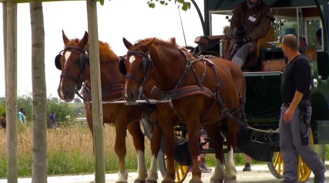 Carriage stopped Stock Footage 66234869