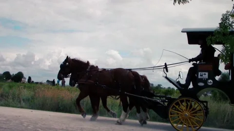 Carriage for tourists Stock Footage 66234030
