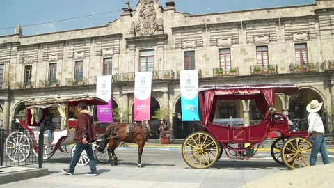 Carriages Stock Footage 229229271
