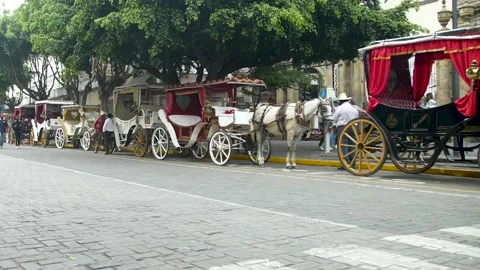 Carriages at Street Stock Footage 231200399
