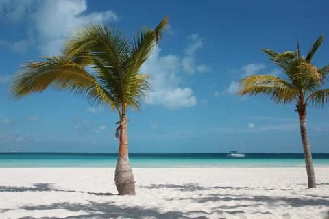 Carribean beach Stock Photos