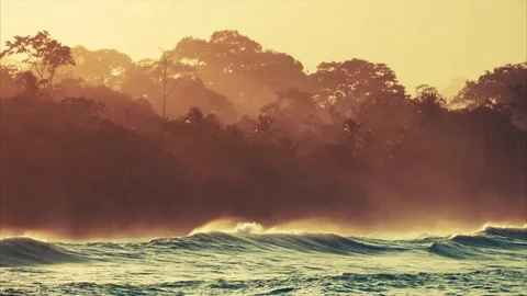 Carribean coast with tropical forest Stock Footage 74871482