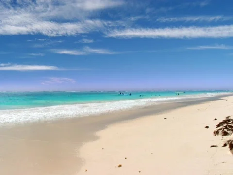 Carribean Stock Footage 490109