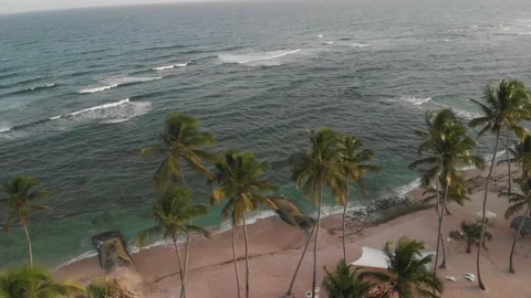 Carribean palm beach sunset Stock Footage 230377057