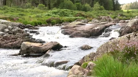 Carrick Lane river running over granite rocks creating a small waterfall  Stock Footage 202345328