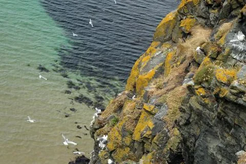 Carrick a Rede Island Stock Photos