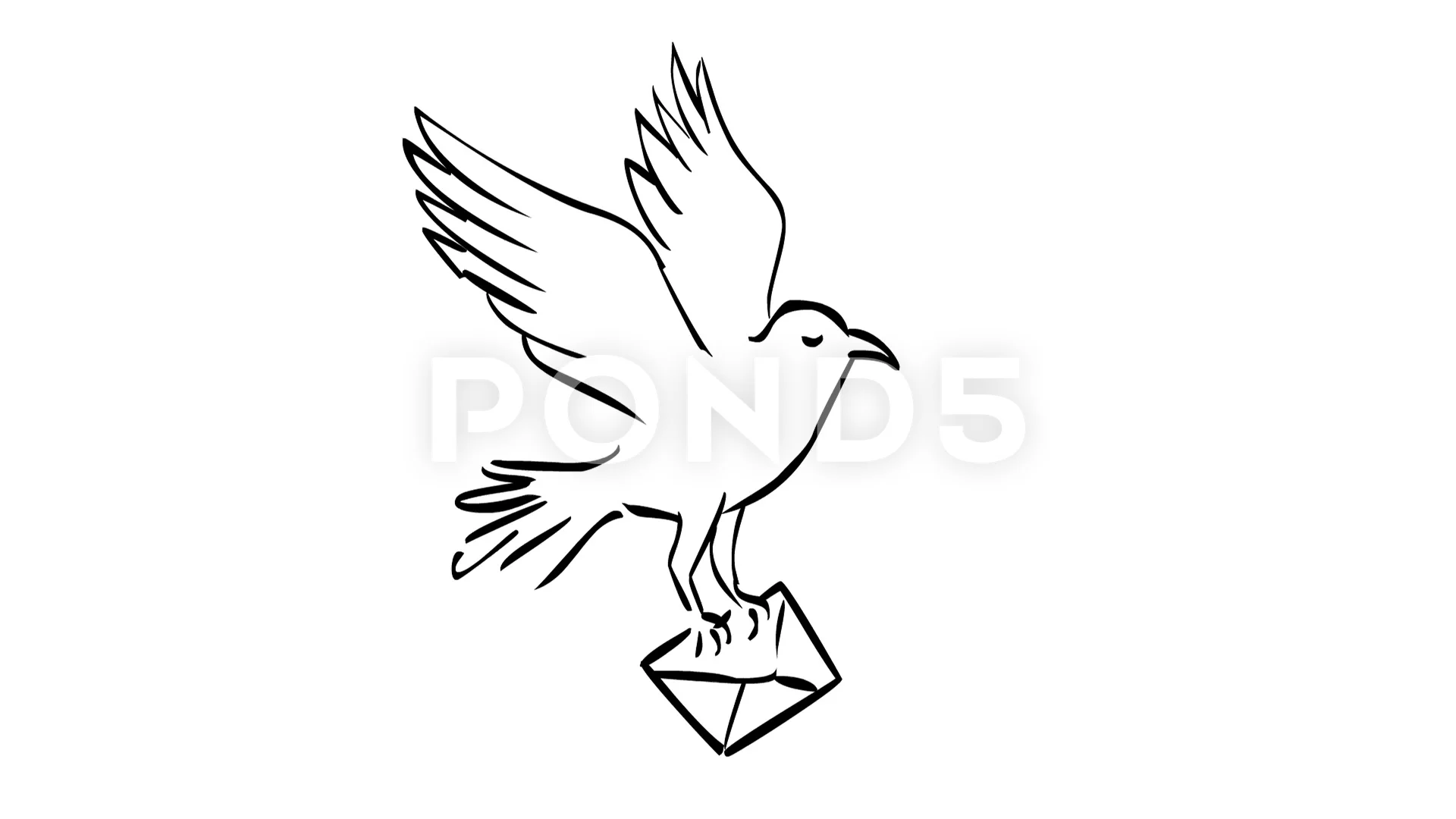 Carrier Pigeon Carrying Letter Drawing 2... | Stock Video | Pond5