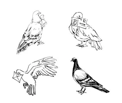 A carrier pigeon with a postal envelope Stock Illustration