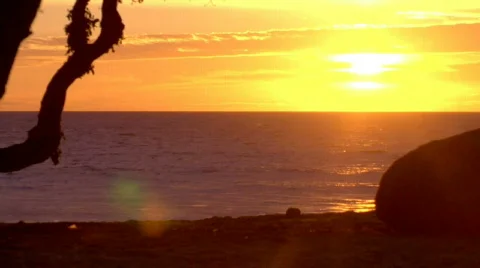 Carrillo Beach Sunset 01 Stock Footage 729221