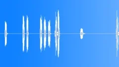 Carrion crow calls and wing beats in flightSound Effect