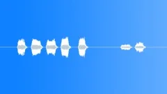 Carrion crow croaksSound Effect