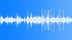 Carrion Crows Sound Effect