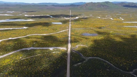 Carrizo Plain 2023 Super Bloom Stock Footage 239358186