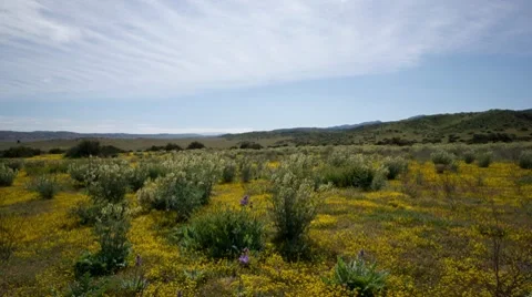 Carrizo Plain Timelapse Vídeos de archivo 8526061