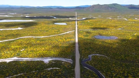 Carrizo Plains Stock Footage 259894295