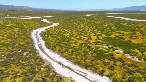 Carrizo Plains Stock Footage 259894471