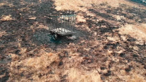 Carroquemado2 Video stock 201624511