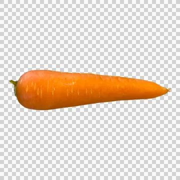 Carrot-01 Photos