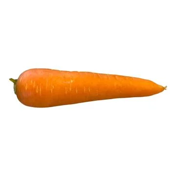 Carrot-01 Photos