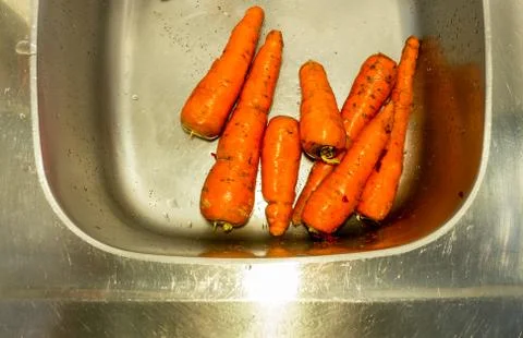 Carrot background. Stock Photos