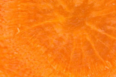 Carrot background Stock Photos