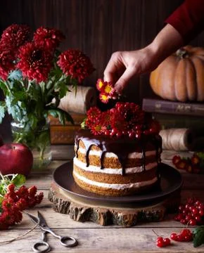 Carrot cake with cheese cream in rustic style decorated  chocolate and flower Stock Photos
