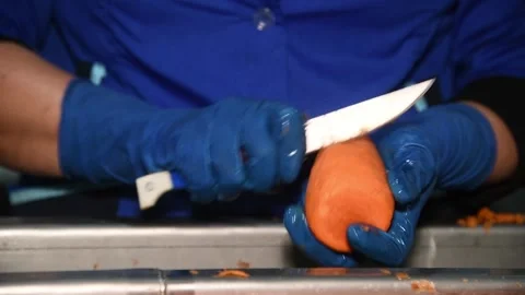 Carrot is cleaned, washed, dried and frozen for further storage Stockbeeldmateriaal 155539368