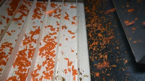 Carrot is cleaned, washed, dried and frozen for further storage Stockbeeldmateriaal 155539421