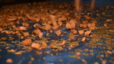 Carrot is cleaned, washed, dried and frozen for further storage 库存影片 155539427
