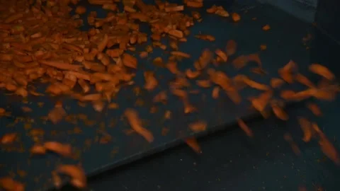 Carrot is cleaned, washed, dried and frozen for further storage 動画素材 155540281
