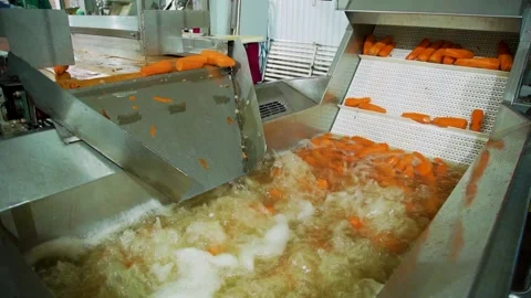 Carrot is Cleaned, Washed, Dried. Cannery. Automatic Line for Processing of Stock Footage 165780017