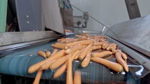 Carrot cleaning Stock Footage 171554733
