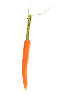 Carrot dangling on a string Stock-Fotos