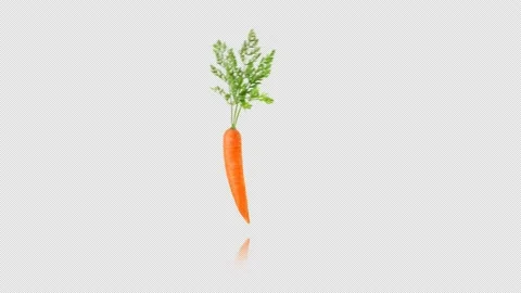 Carrot develops of the wind Stock Footage 204017216