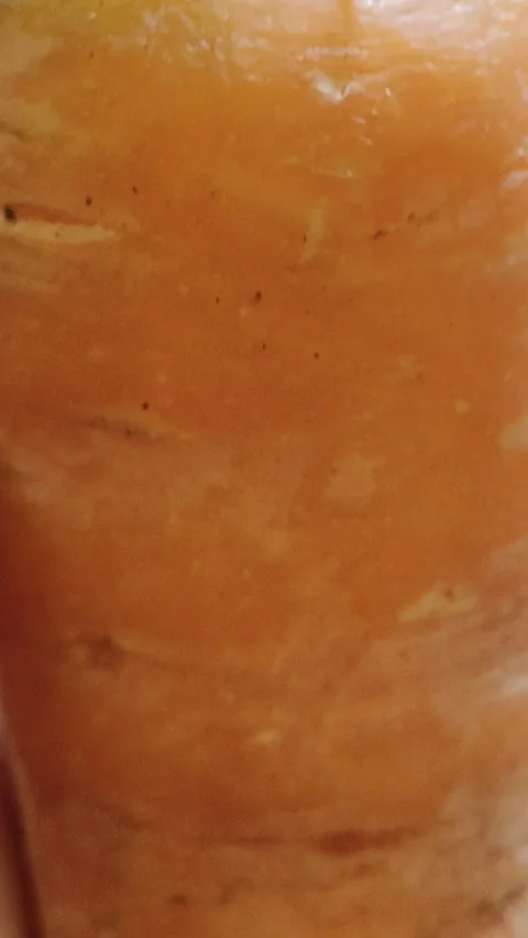 Carrot Stock Footage 297045262