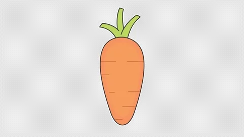 Carrot 스톡 동영상 339188169