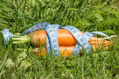 Carrot on the grass Stock Photos