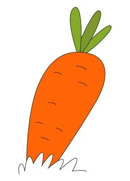 A carrot with a green leaf vector illustration Stock Illustration