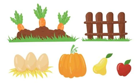 Carrot Growing on Vegetable Patch and Eggs on Straw Vector Set Stock Illustration