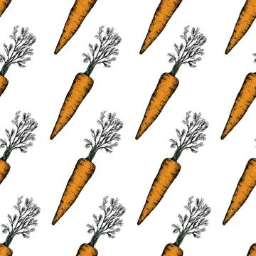 Carrot hand drawn vector seamless pattern. Retro Vegetable engraved style object Stock Illustration