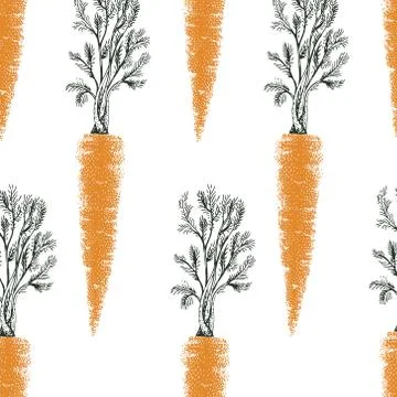 Carrot hand drawn vector seamless pattern. Retro Vegetable engraved style object Stock Illustration