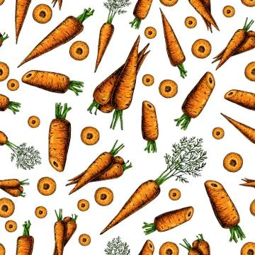 Carrot hand drawn vectorseamless pattern. Isolated Vegetable art Stock Illustration