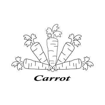 Carrot icon Stock Illustration